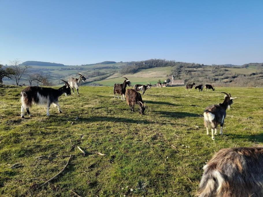 Les Vacances Passy  Esterno foto